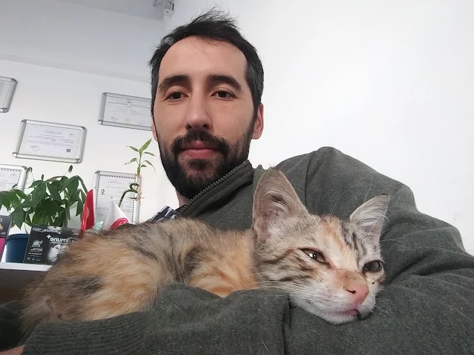 Söke Pet Veteriner Kliniği'nde kucakta yavru kedi