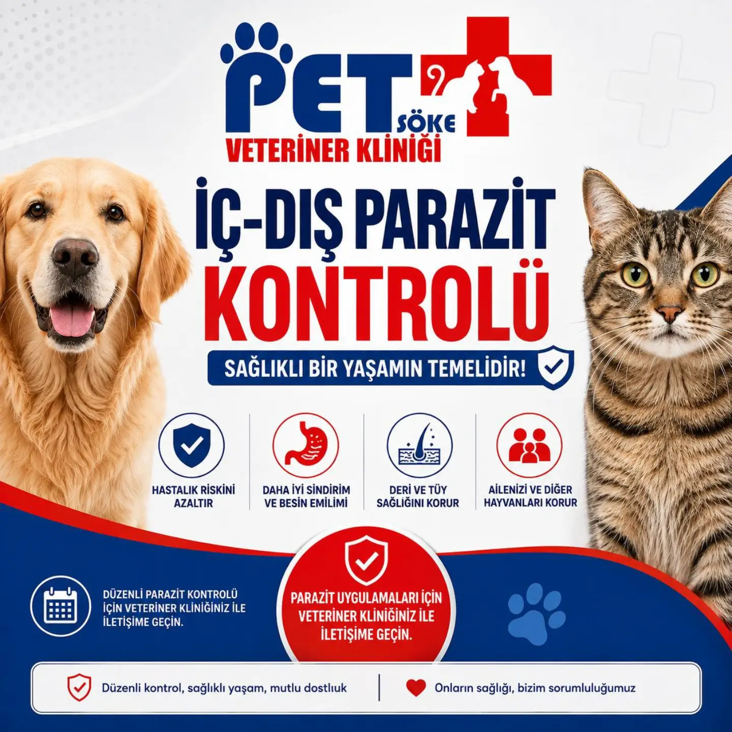 Kedi ve Köpeklerde Pire ve Keneden Korunma Yolları