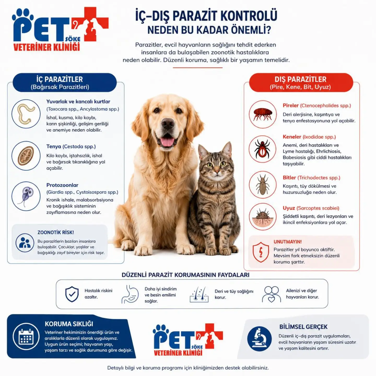İç ve dış parazitler infografiği – Söke Pet Veteriner Kliniği