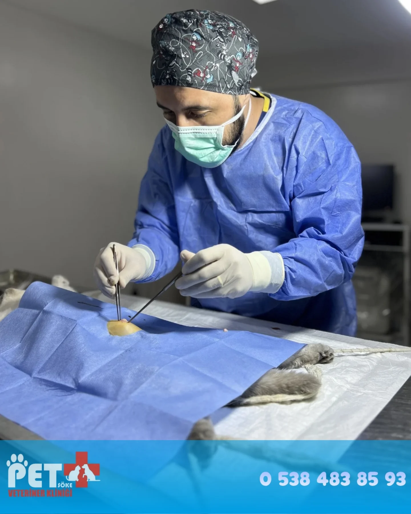 Söke Pet Veteriner Kliniği'nde kedi ameliyatı – veteriner cerrahi