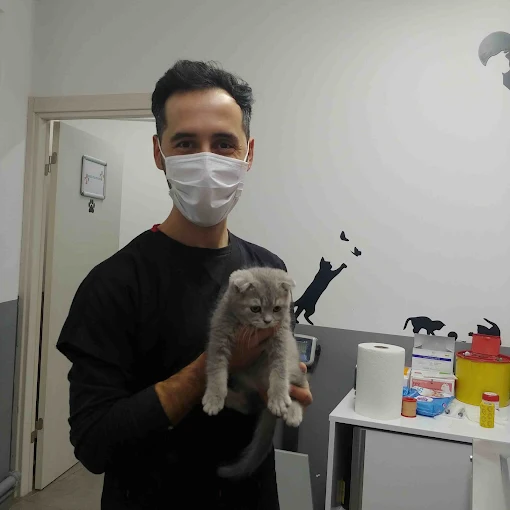 Söke Pet Veteriner Kliniği muayene odası